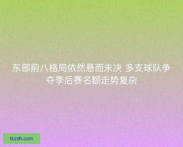 东部前八格局依然悬而未决 多支球队争夺季后赛名额走势复杂